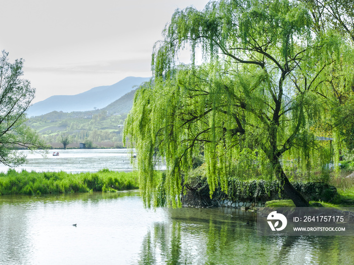 锡奥西亚的Salice nel lago di Posta Fibreno