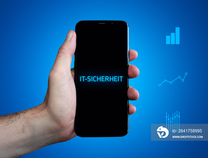 IT-Sicherheit. Hand hält Telefon (Handy). Wort auf Display. Diagramme auf Hintergrund blau. Business