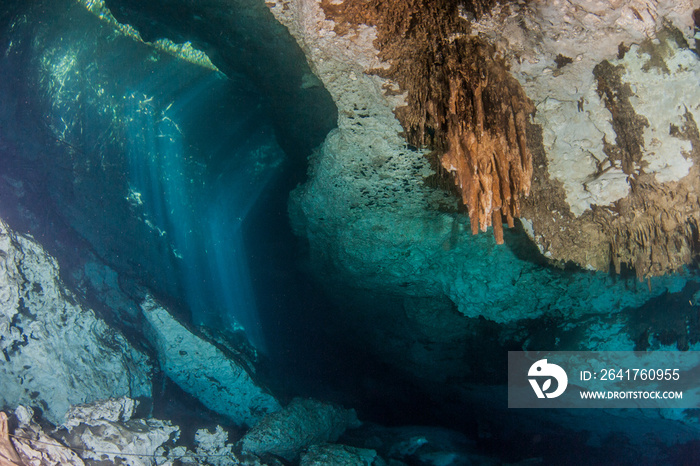 在墨西哥的Cenote Jardin del Eden进行水肺潜水