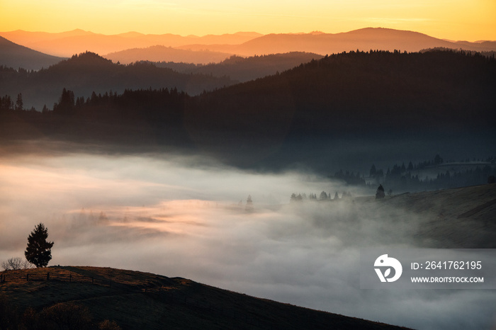 Fog covered trees in the valley with bright orange sky at sunrise. Illuminated clouds by the sun.Aut