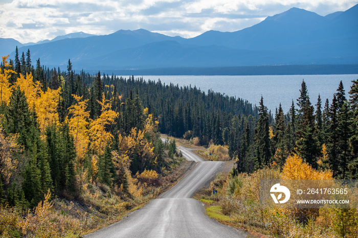 Amazing view of the road highway to Atlin, northern British Columbia with fall scenes and yellow aut