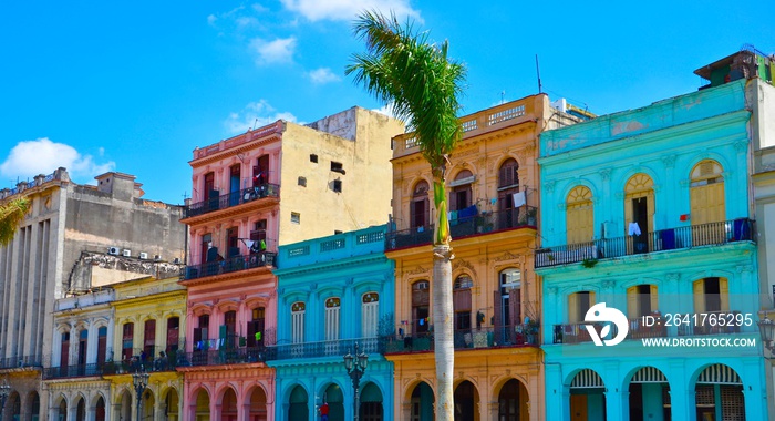 古巴哈瓦那，五颜六色的殖民地房屋，蓝天背景，前面是棕榈树