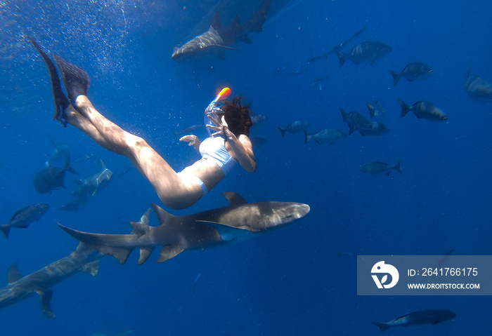 Young woman scared to touch a shark when jumping into the water