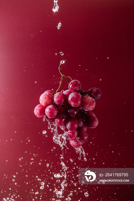 Pink grapes on pink background with splashing water