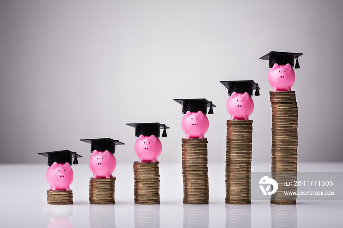 堆叠硬币上戴毕业帽的粉红色小猪银行