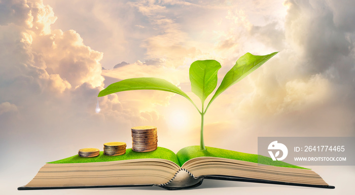 书上长着植物的钱堆。金融、环境、知识和可持续性