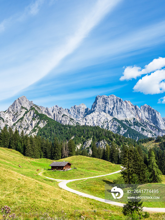 Blick auf die Litzlalm mit Hütte in Österreich