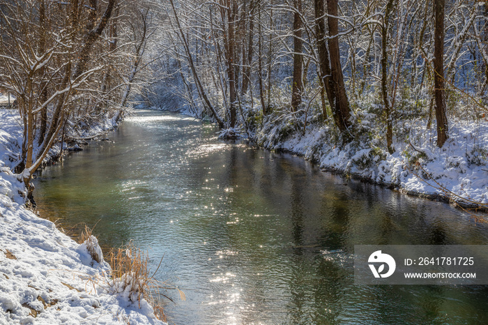 Stream in Winter