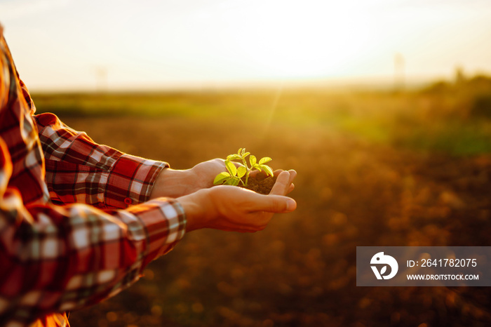 Сlose up hand of person holding abundance soil with young plant. Concept green world earth day. Agri