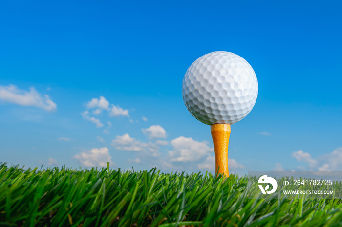 高尔夫球在球座上，准备在绿草和蓝天上比赛，户外运动