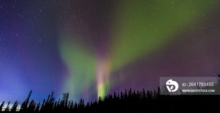 Northern lights,  Fairbanks, Alaska