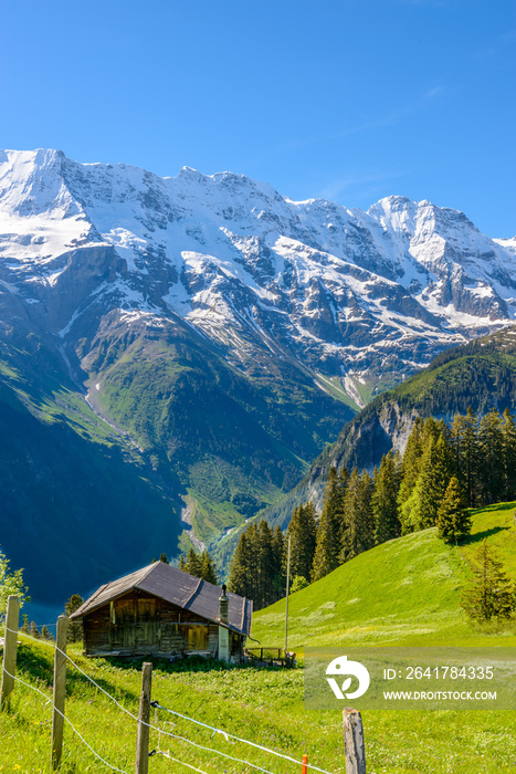 View of beautiful landscape in the Alps with fresh green meadows and snow-capped mountain tops in th