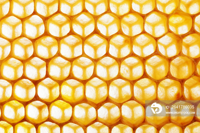 Honeycomb macro as a background. Beekeeping products. Apitherapy.