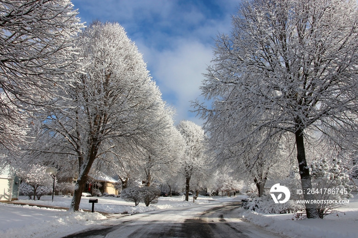 Beautiful winter morning background. Winter landscape with small town street view after blizzard. Wi