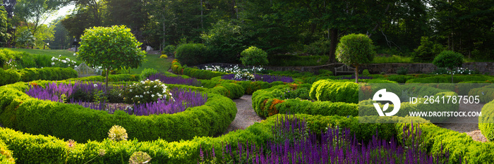 Courtyard French Style Garden Landscape. Classic Style Cultivated Homestead Plants and Flower Bed De