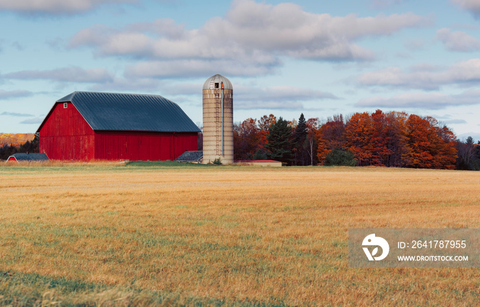 Typical old wooden red barn and silo in the countryside field. Autumn season with colorful trees