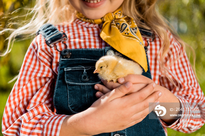 partial view of little child holding adorable yellow baby chick outdoors