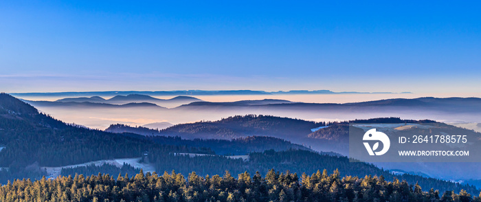 Panorama von der Berglandschaft im Nordschwarzwald bei Tiefnebel