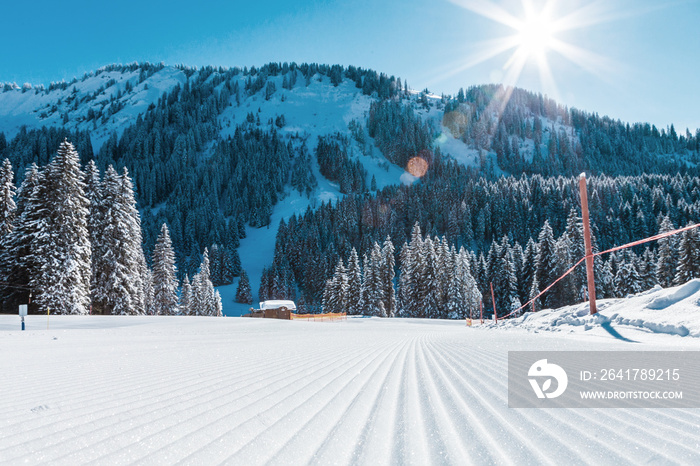 奥地利的山脉和滑雪场景观