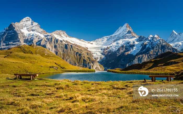 在从First到Grindelwald（瑞士伯尔尼阿尔卑斯山）的著名徒步旅行中遇到Bachalpsee