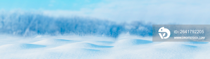 Banner snowy winter snowdrifts in front of forest panoramic background