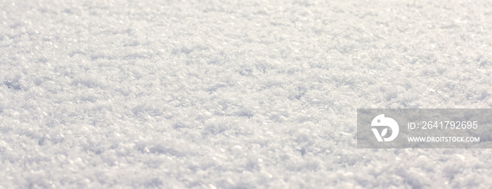 Texture of snow in sunlight. The surface of the earth is covered with snow