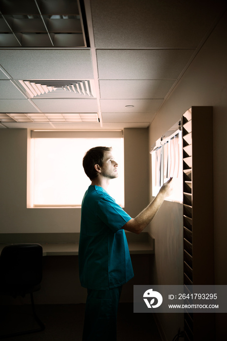 Male doctor examining x-ray images in hospital