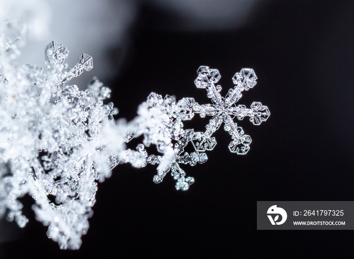 雪花，雪上的小雪花