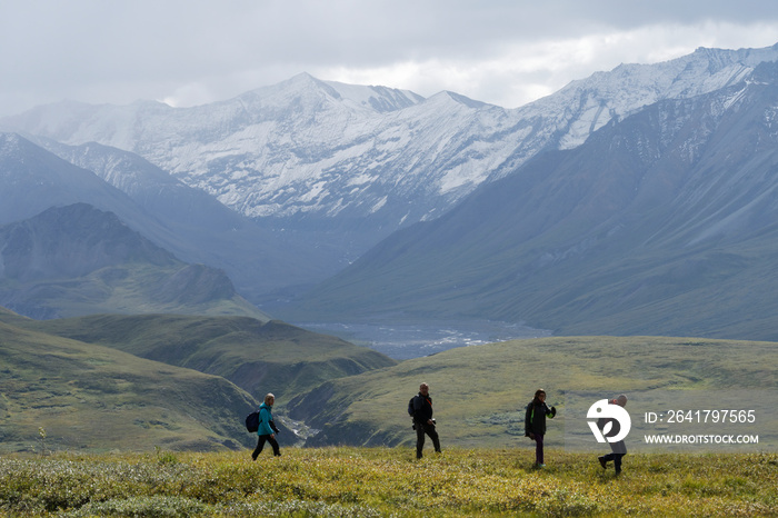 Hikers on the tundra;  Denali National Park;  Alaska