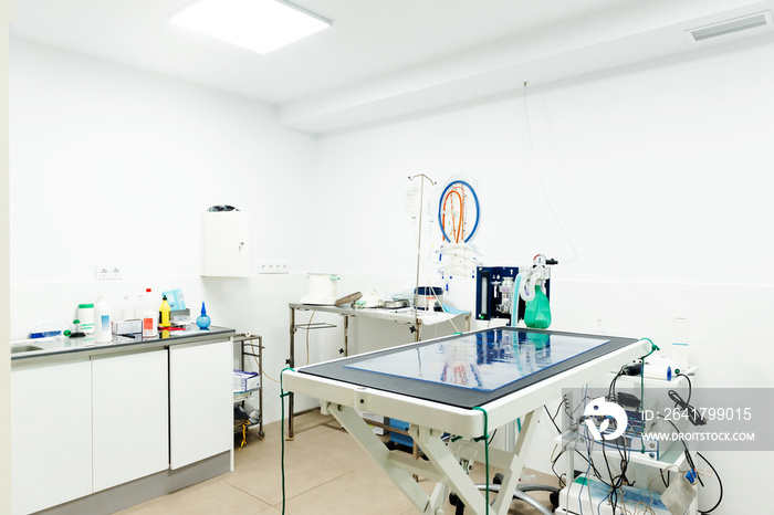 veterinary clinic operating room without people. surgery room.