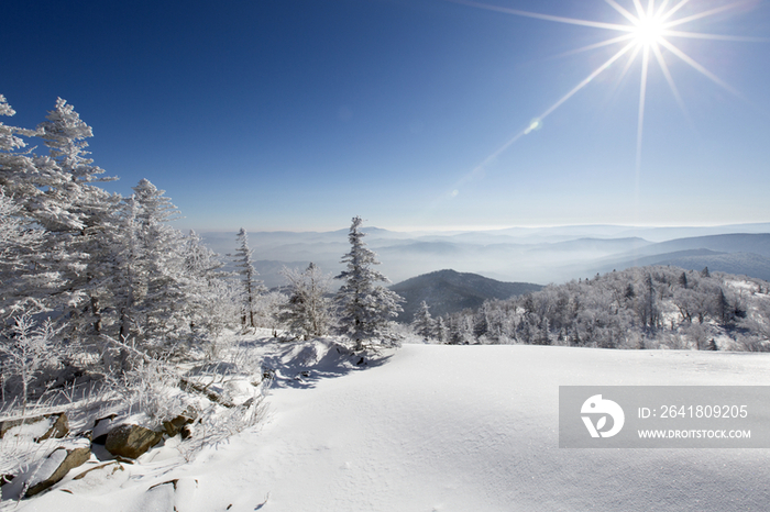 阳光雪景