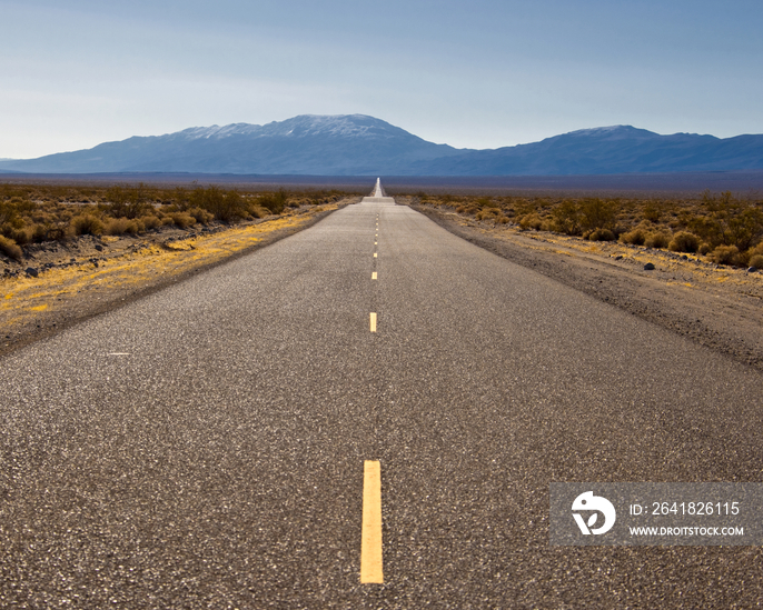 Highway Through Desert