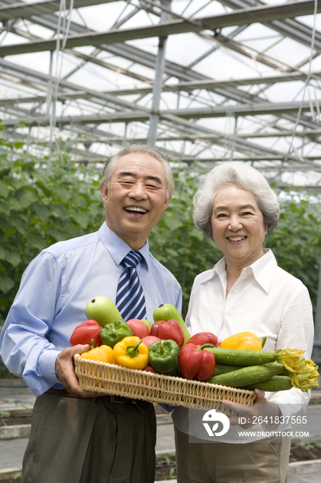 农场主夫妇手捧蔬菜