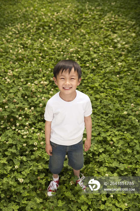 草地上的小男孩