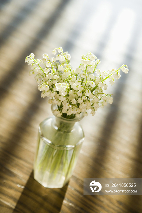 Flowers in Vase