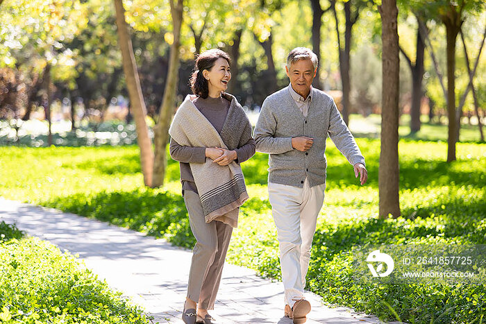 幸福的老年夫妇在公园散步