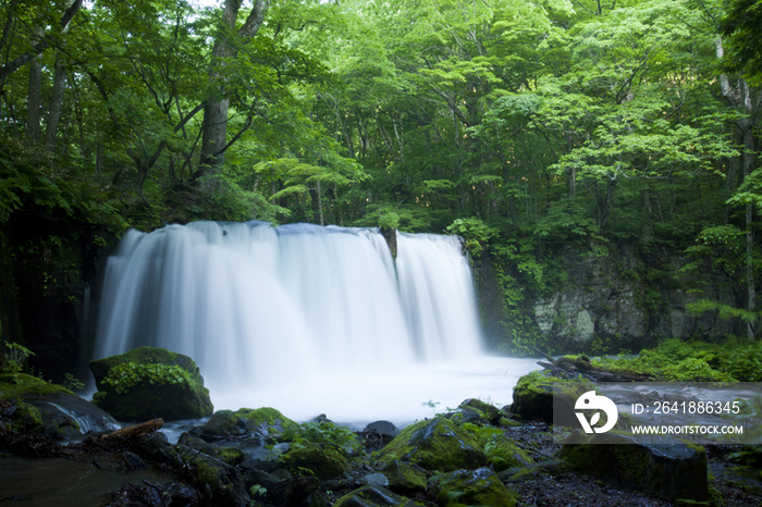 Choshi Waterfall in Oirase River, Aomori, Japan