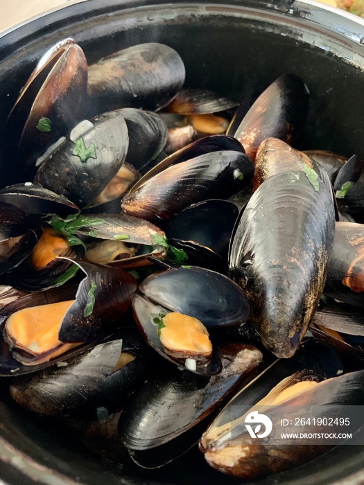 Moules marinières