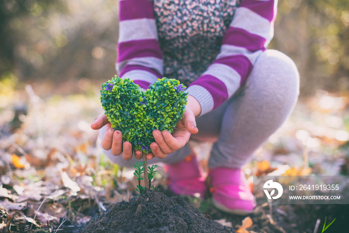 Hands of little taking care of heart shaped plant