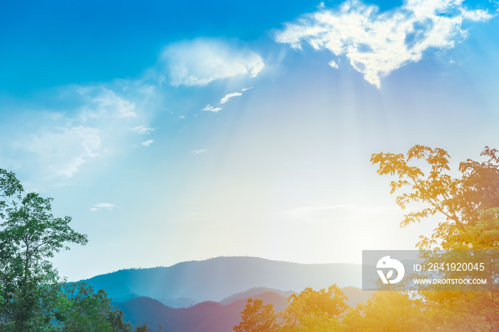 fresh air green tree and mountain blue sky for nature background