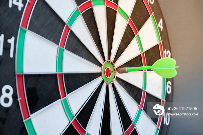 The arrow in the middle of the dartboard Demonstrate the concept of a successful business goal