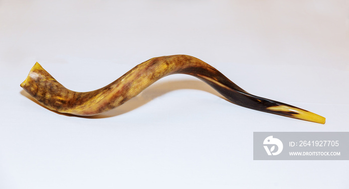 Shofar a talit on white background-rosh hashanah jewesh度假概念