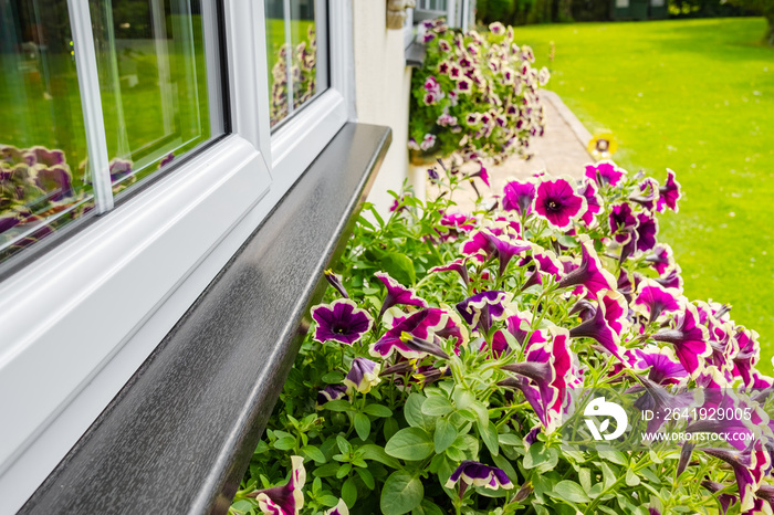 Close-up of a brand new installed double glazed window showing the multiple security locks on the fr