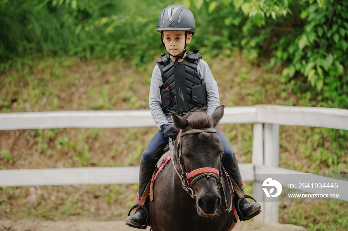 在牧场阳光明媚的日子里，顽皮的小骑师男孩骑着可爱的小马。