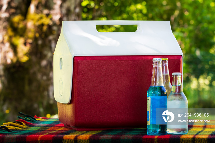 Soda and Bottles of Water and Vintage Cooler on Park Bench