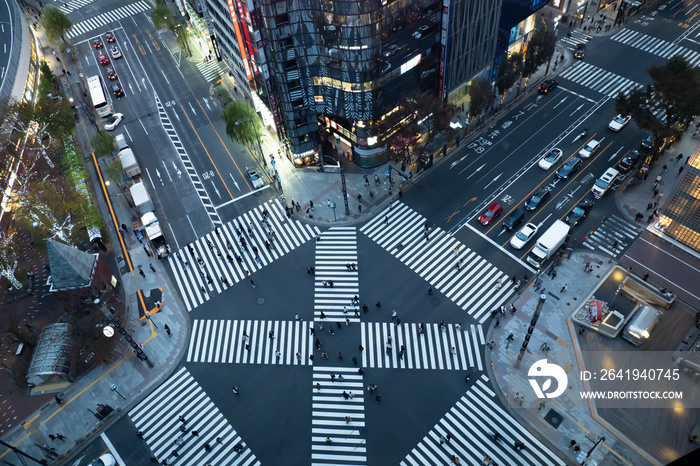 日本の中心地、銀座のスクランブル交差点