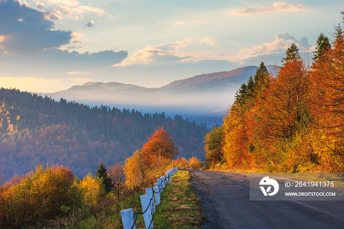 asphalt road through forest. beautiful mountain landscape. trees in fall foliage. foggy weather at s