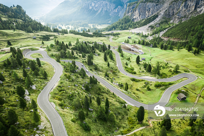 Winding road and green hills, Passo Gardena, Dolomites, aerial view