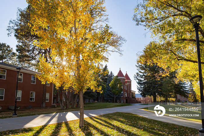 Beautiful fall color around the campus of Northern Arizona University