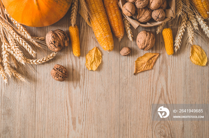 Harvest, Autumn. Still life with Thanksgiving concept.